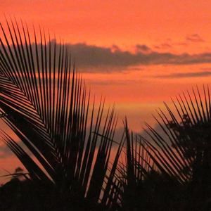 Meet your Posher, Alejandro